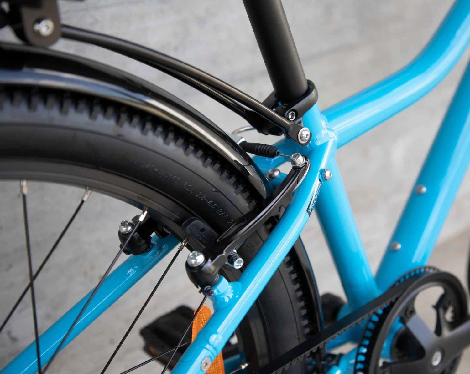 FLiZZi 24 RIEMEN EQ Kindervelo, Blau Von FLIZZI By VELOPLUS 6 FLiZZi 24 RIEMEN EQ Kindervelo, Blau Von FLIZZI By VELOPLUS – Bild 5