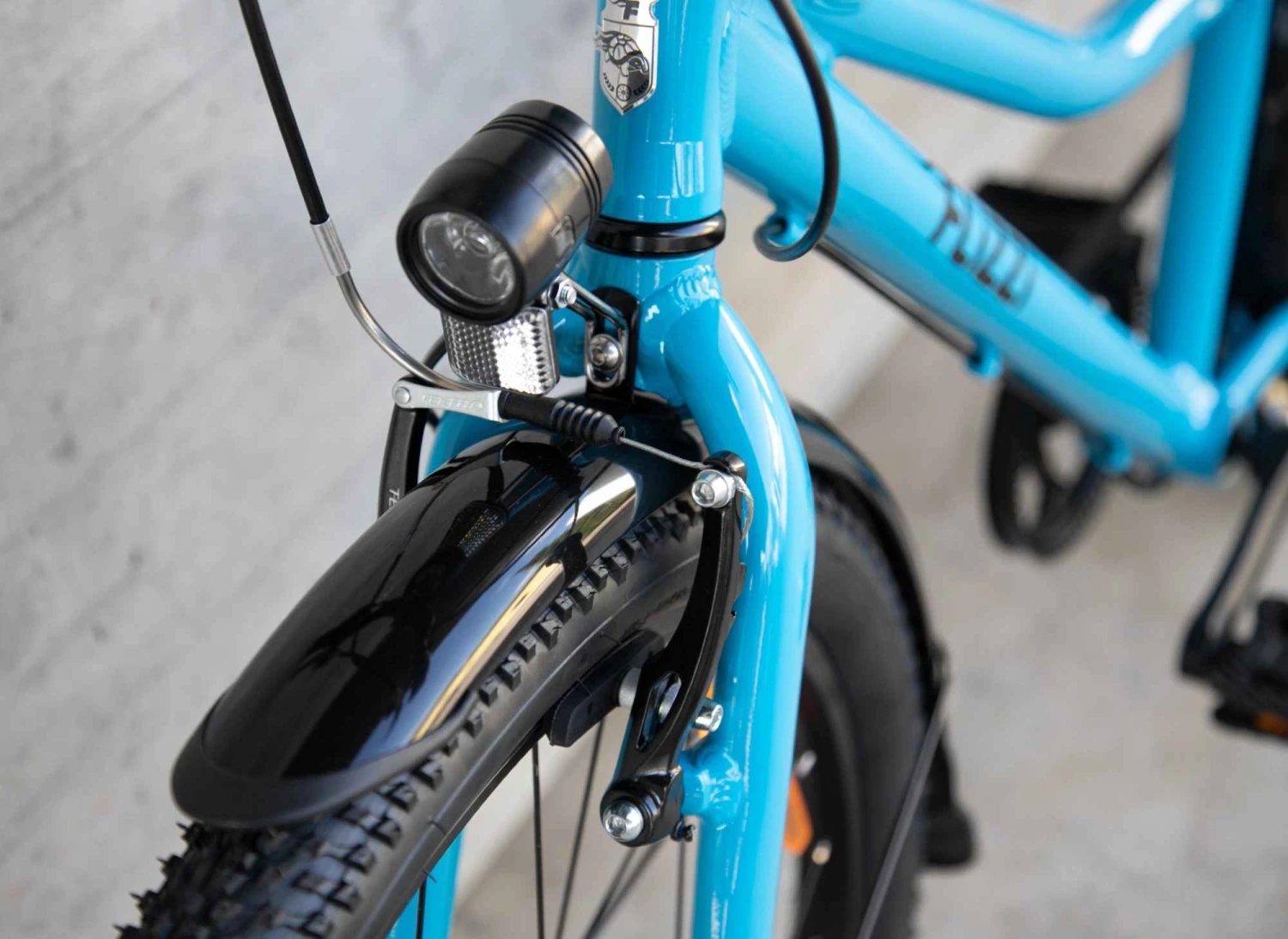 FLiZZi 24 RIEMEN EQ Kindervelo, Blau Von FLIZZI By VELOPLUS 12 FLiZZi 24 RIEMEN EQ Kindervelo, Blau Von FLIZZI By VELOPLUS – Bild 11