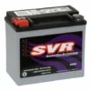 SVR AGM Batterie 18Ah 300 CCA