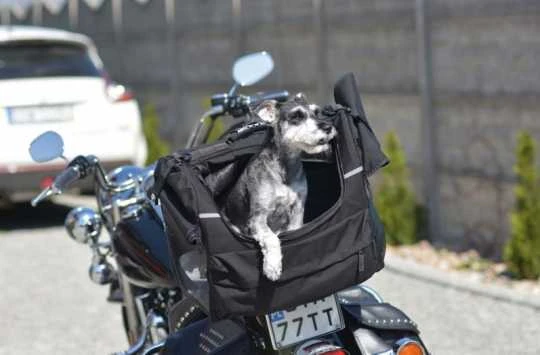 Deemeed Pet Bag Mittel 4 Deemeed Pet Bag Mittel – Bild 2